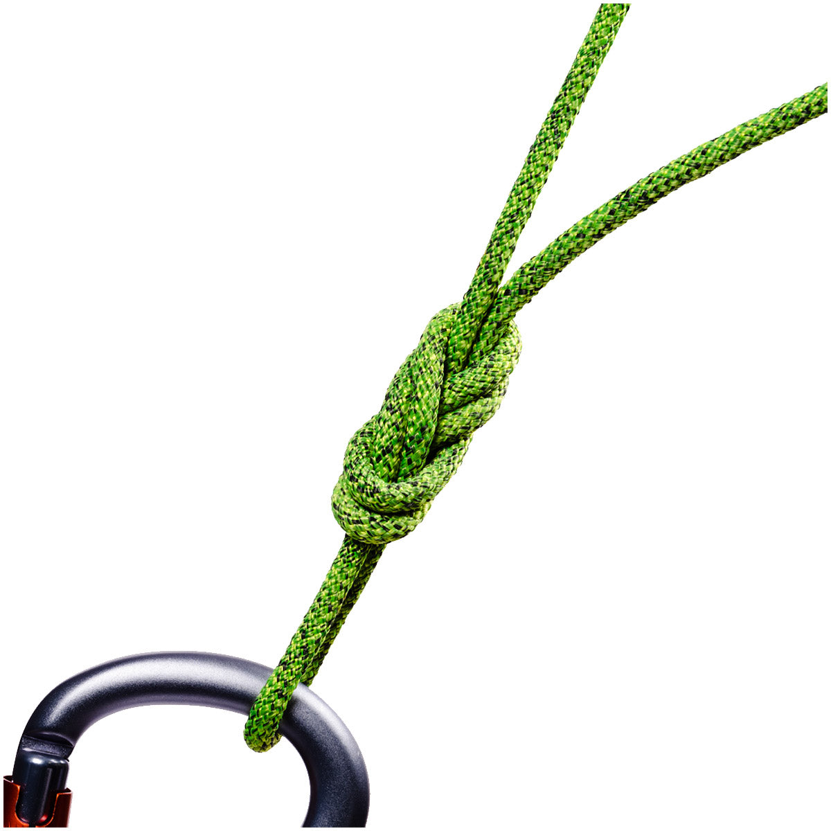 5㎜ バックアップライン