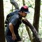 HIVE CAP