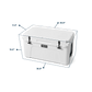 TUNDRA 65